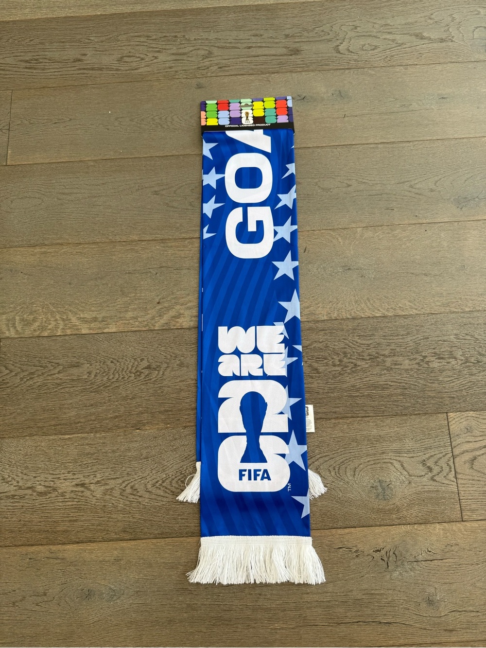 FIFA 'We Are One' Blue Fan Scarf
